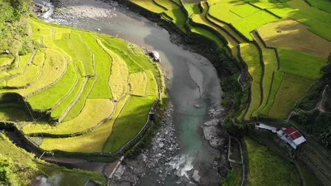 Rice terraces Stock Footage 141595357