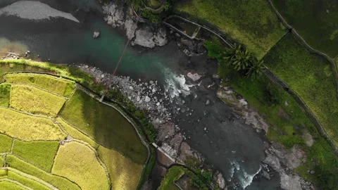 Rice terraces Stock Footage 141595394