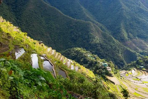 Rice terraces going down the mountain in Philippines, Batad Stock Photos