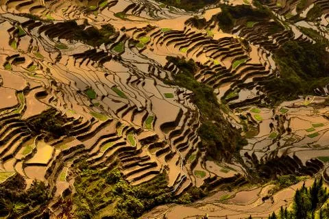 Rice terraces in Maligcong. Stock Photos