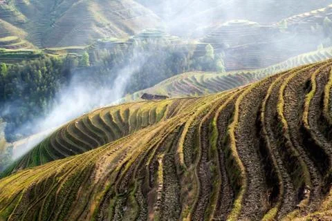 Rice terraces Stock Photos