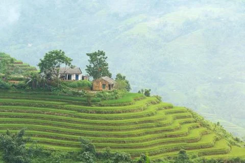 Rice terraces Stock Photos