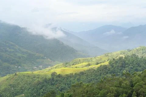 Rice terraces Stock Photos