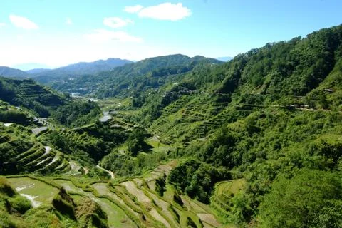 Rice terraces Stock Photos