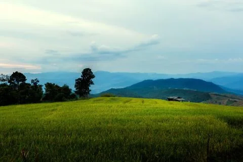Rice terraces Stock Photos