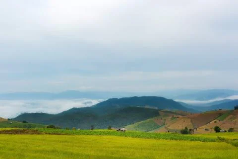 Rice terraces Stock Photos