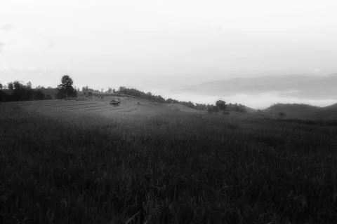 Rice terraces Stock Photos