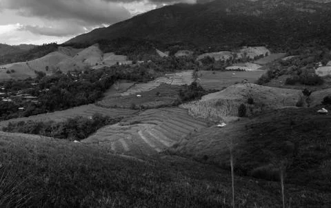 Rice terraces Stock Photos