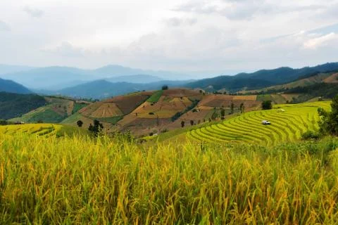 Rice terraces Stock Photos