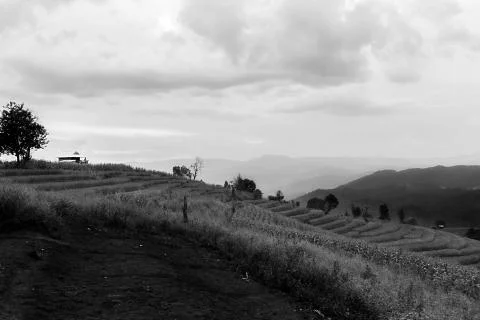 Rice terraces Stock Photos