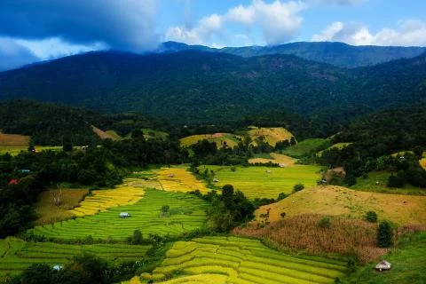 Rice terraces Stock Photos