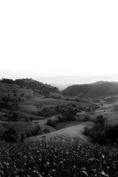Rice terraces 스톡 사진