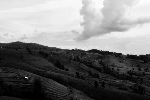Rice terraces Stock Photos