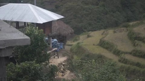 Rice Terraces Rice Fields Stock Footage 243095832