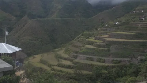 Rice Terraces Rice Fields pt 2 스톡 동영상 243095826