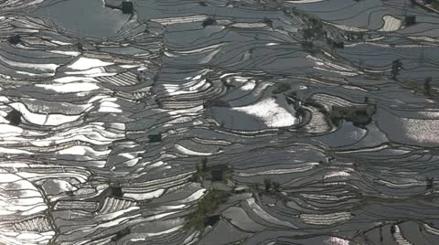 Rice terraces S.W. Yunnan Province, China Stock Footage