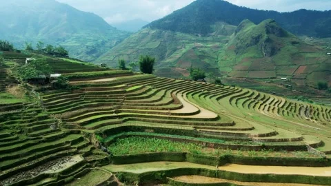 Rice terraces with workers ploughing the fields revealing surreal Stock Footage 240319957