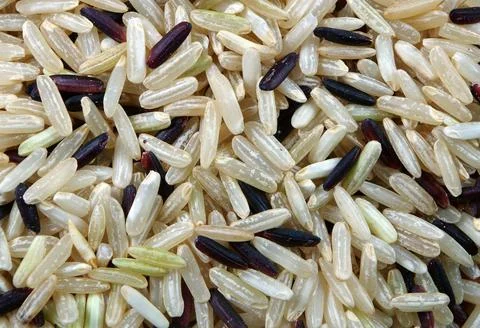 Rice texture background close-up. Stock Photos