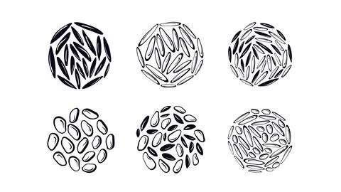 Rice texture set Vector cereals types white, black Stock Illustration