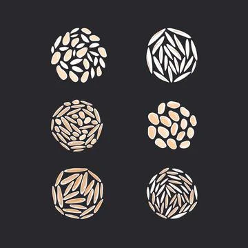 Rice texture set Vector cereals types in circle Stock Illustration