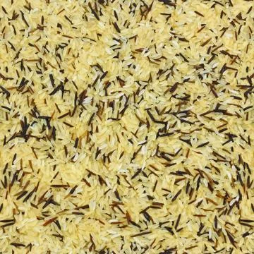Rice of three kinds Stock Photos