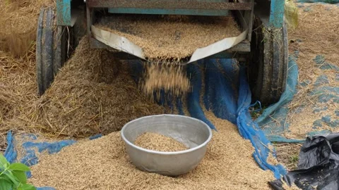 Rice thresher machine Stock Footage 342278385