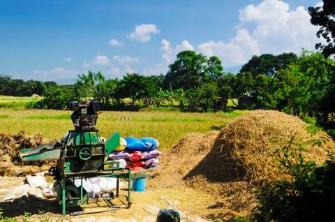 Rice thresher Stock Photos