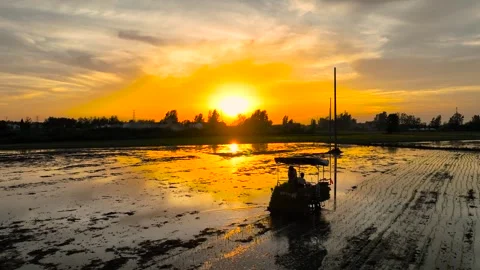 Rice transplanter machine working in flooded paddy field Stock-Footage 347058362