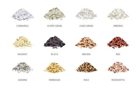 Rice types. Handfuls of grains, different varieties, asian grain culture 스톡 일러스트