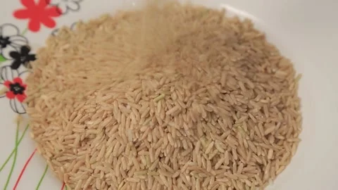 RICE UNCLEANED Stock Footage 155653553