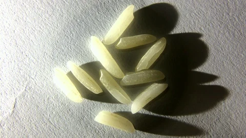 Rice under macro lens Stock Footage 125801488