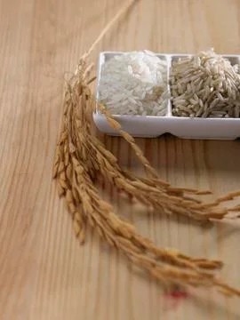 Rice varieties 스톡 사진