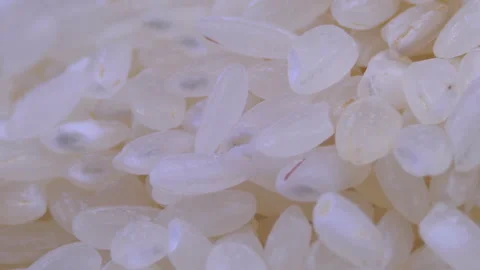 Rice video clip-3 Stock-Footage 304096788