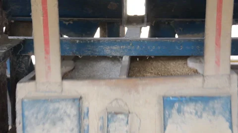 Rice was walking machine Stock Footage 54474078