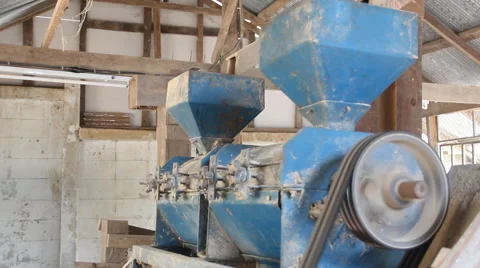 Rice was walking machine Stock Footage 54475277