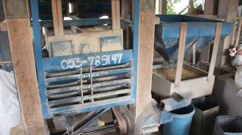 Rice was walking machine Stock Footage 54475284