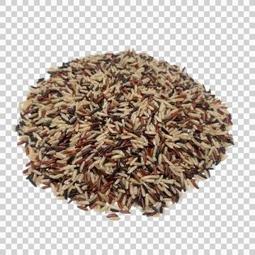 Rice on white background Stock Photos