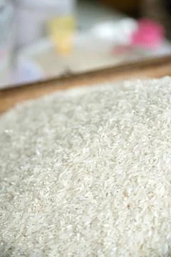 Rice_03 Stock Photos