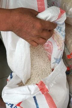 Rice_04 Stock Photos