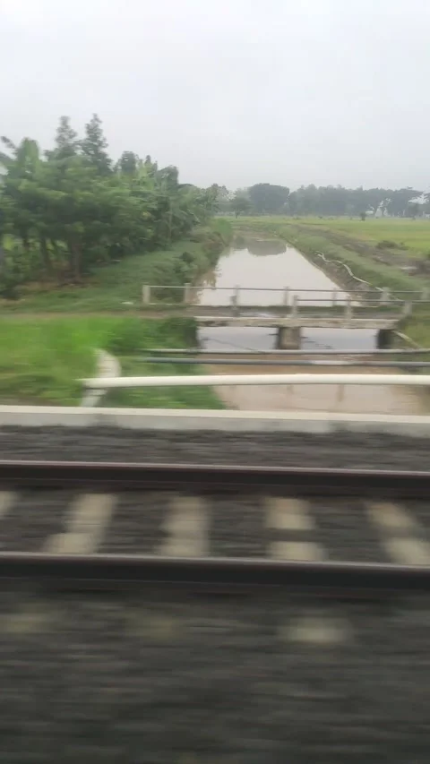Ricefield and river view from train Stock Footage 219666995