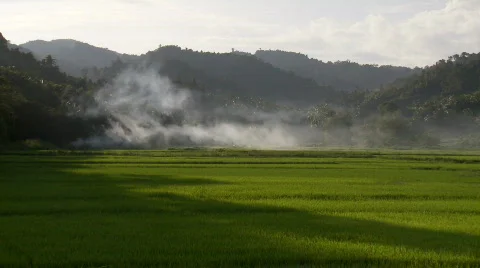 Ricefield embraced by hillside during magic hour with smoke Video stock 555580