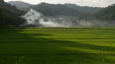 Ricefield embraced by hillside during magic hour with smoke Video stock 555588