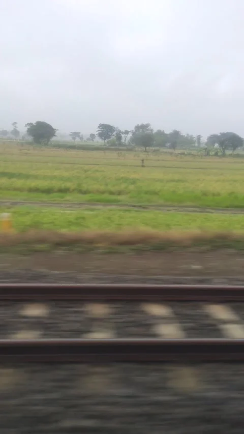 Ricefield view from train in Indonesia Stock Footage 219667047