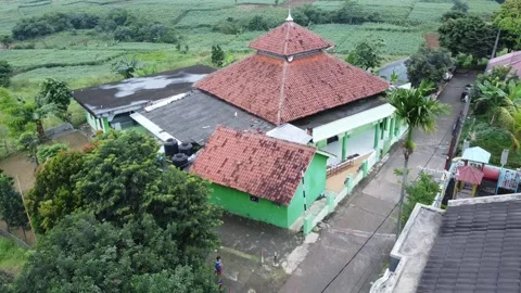 Ricefields Video stock 238918285