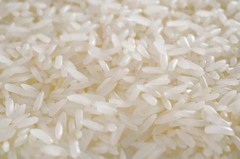Rices Stock Photos