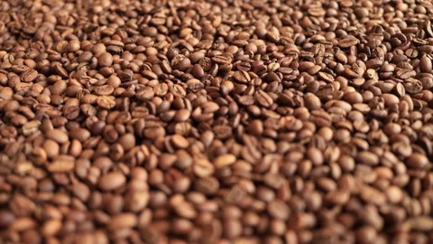 Rich and aromatic coffee beans close-up captured in stunning detail Stock Footage 338431270