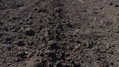 The rich, brown soil surface is now exquisitely ready for the planting of Stock Footage 313284305