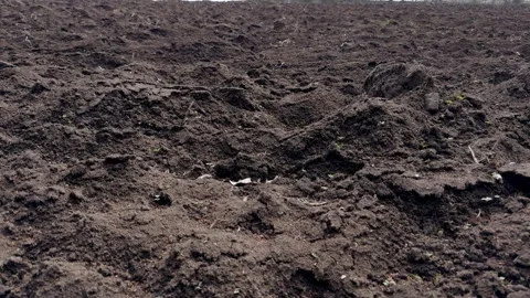 Rich Dark Soil Surfaces are Essential for Agriculture and Farming Activities in Stock Footage 306793896