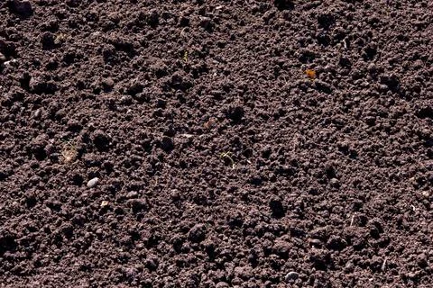 Rich dark soil texture surface Stock Photos