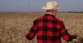 Rich Farmer Man Proud Wheat Field Abundance Harvest Crops Agriculture Concept US 4k or 4k+ Resolution